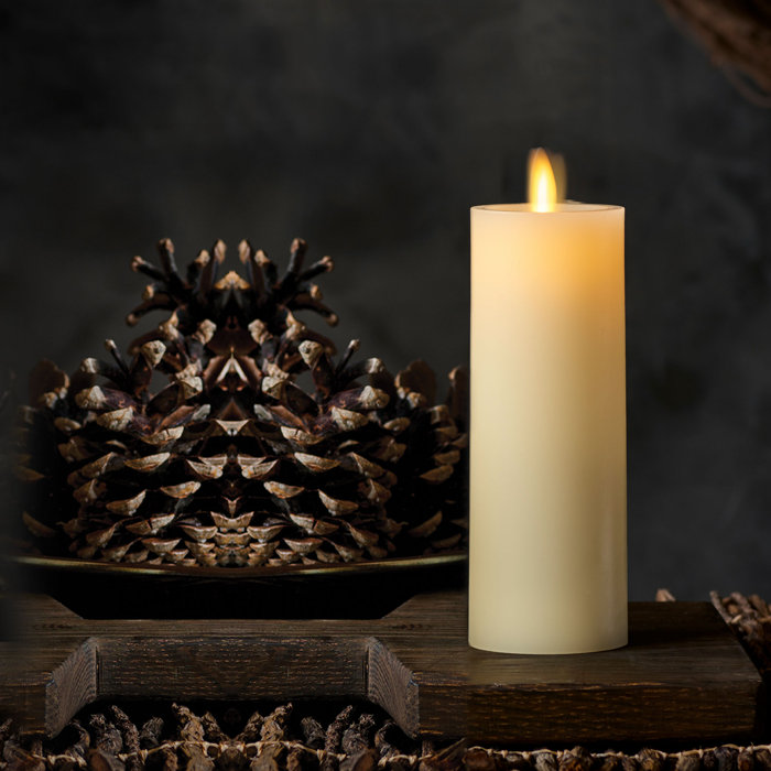 Luminara Unscented Flameless Pillar Candle & Reviews Wayfair